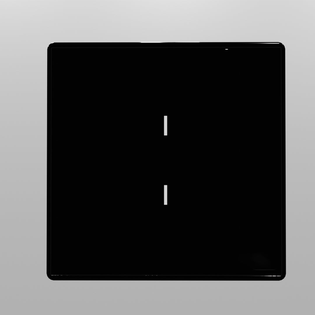 Touch Plus 2M - 2 Switch